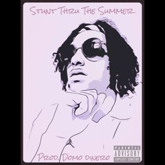 Stunt Thru The Summer (Prod. Domo Dinero)