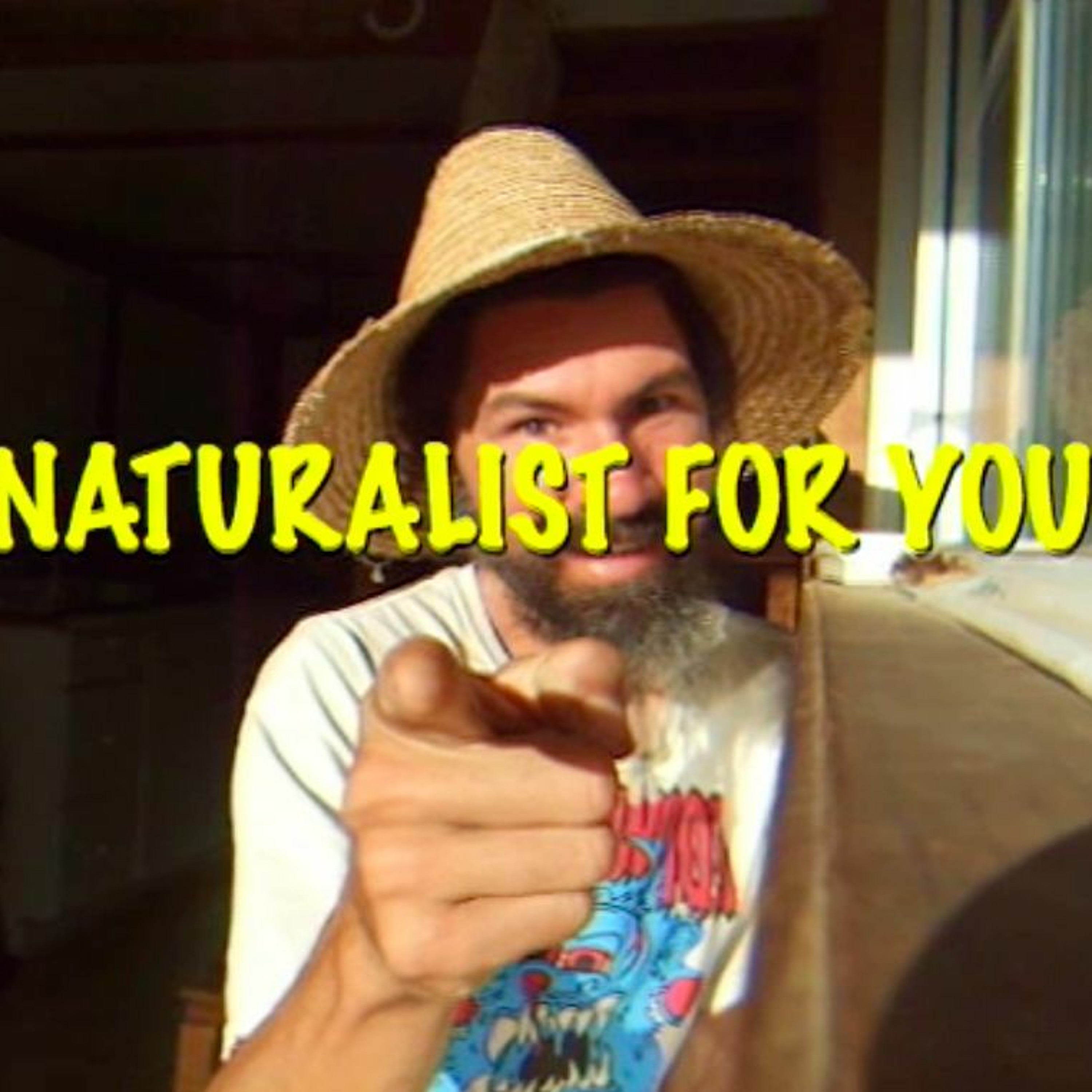 Naturalist For You