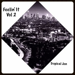 Feelin' It Vol 2