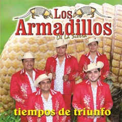 Los Armadillos De La Sierra Se Partio Mi Corazon