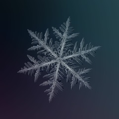 Snowflakes (No Bass & Drums Version, Piano Only)