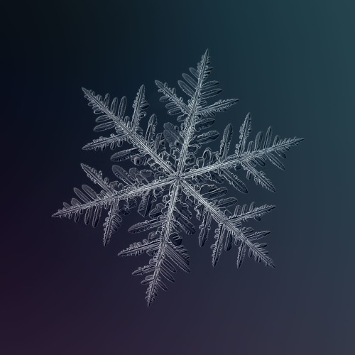 Snowflakes (No Bass & Drums Version, Piano Only)