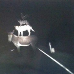 .YEIVI.COTE.GONZA.TINXO.LEO.beat.pers.