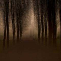 Desolate Lungscapes