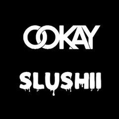 Slushii X Ookay (Never Forget You x Thief)