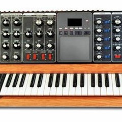 The Moog Experiment