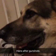 current mood (chala stars)