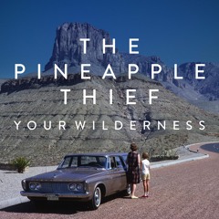 The Pineapple Thief - In Exile (from Your Wilderness)