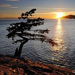 PIANO -  POVERA_ANIMA_dedicato a...