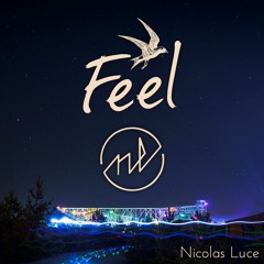 Nicolas Luce @ Feel Festival 2016