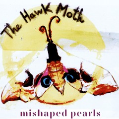 The Hawk Moth