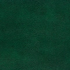 @ Green Door Project 2015