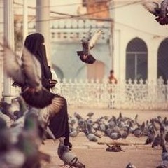 يكفي ما فيني كفى