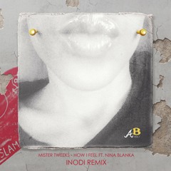 Mister Tweeks - How I Feel Ft. Nina Blanka (Inodi Remix)DL IN DESCRIPTION