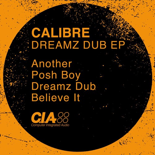 Calibre - Believe It