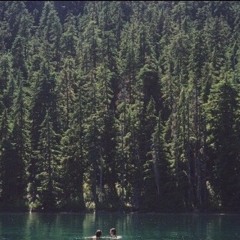 roots (them trees)