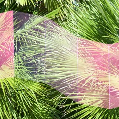 B.Chenz - Hitalick ft. Kieda Bordeaux. (Prod. by Raf Deluz)