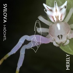I-XÓCHITL – MERELY