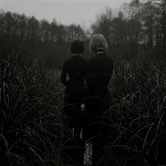 Goldmund-Turncoat