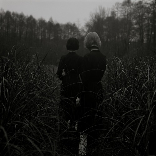 Goldmund-Turncoat