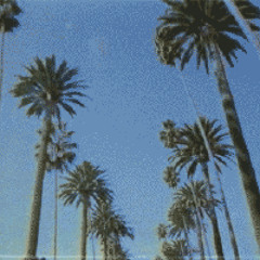 breeze