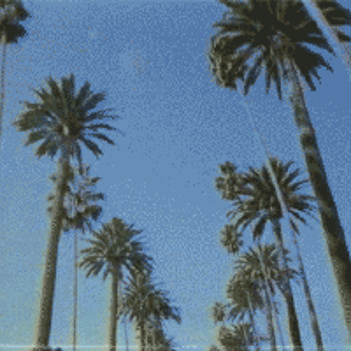 breeze