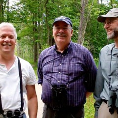 Tres Amigos de Observación de Aves-Three Friends Birding