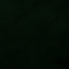 Untitled 25