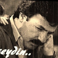 Ferdi  Tayfur - Sevebilseydin