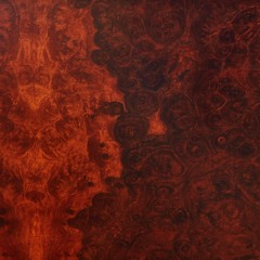 TRUE WIDOW - To All That He Elong