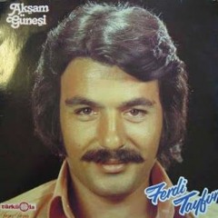 Ferdi Tayfur - Esin Rüzgarlar