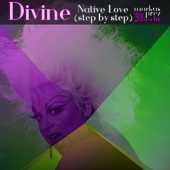 DIVINE - Native Love Step By Step  (Markus Prez 2016 Edit)