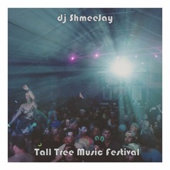 Live @ Tall Tree Music Festival