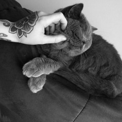 mor.