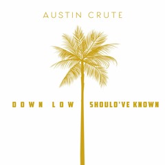 Down Low / Should've Known