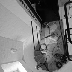 Chase The Damoiselle