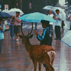 early rain