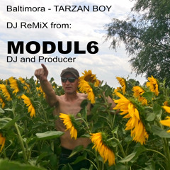 Baltimora-TARZAN BOY (DJ Maxi Mix MODUL6)
