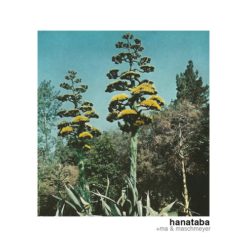 +ma & maschmeyer -  ran  [hanataba ep]