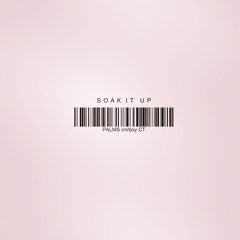 Soak It Up (ft. cnrboy & CT)
