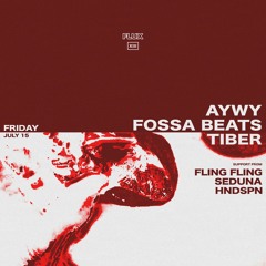 Fossa Beats FLUX XIII Mix
