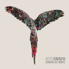 Mateo Kingman - Sendero del Monte (Uji Remix)