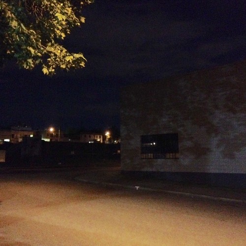 Florensic Scape