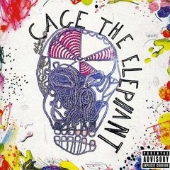 Cage The Elephant "Trouble" Live