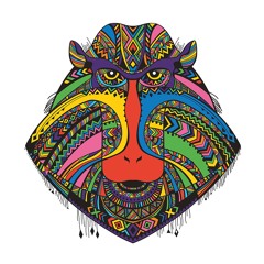 Monkey Safari - Sessions