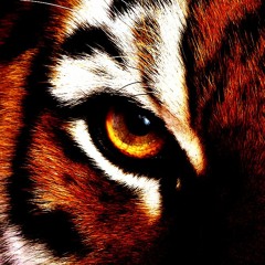 Antandra - Tigers Eye (Wolftech Remix)