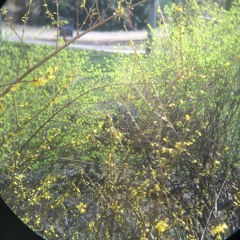 stereo was yesterday