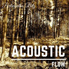 Acoustic Flow [HIP HOP BEAT] (Prod. Pedregulho Beats)