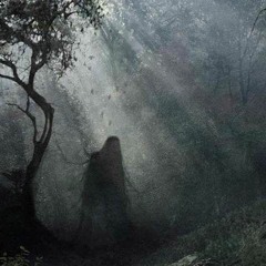 Asgard - The Forest Of Darkness(Preview)