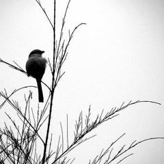 Adaptation/As You Are (The Weeknd cover)